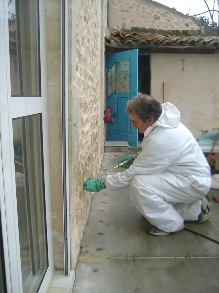 Désinsectisation à Belin-Béliet