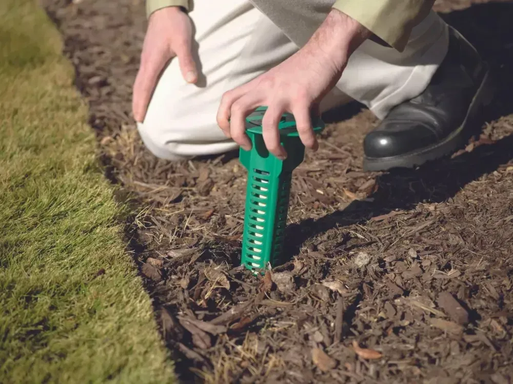 caprisol realisation (3)