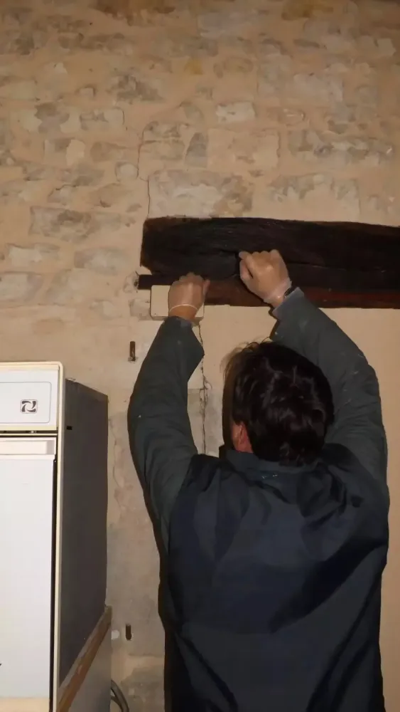 Traitement termites par piège à Belin-Béliet